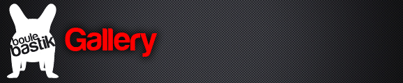 gallery_title